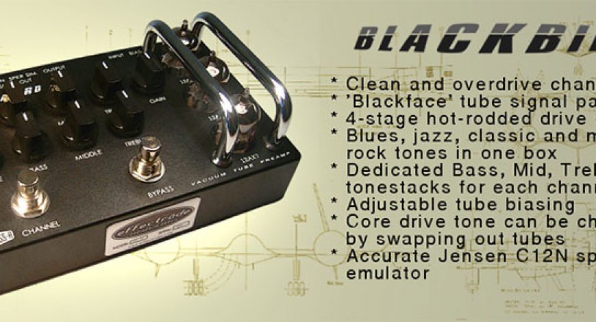 10_blackbird11