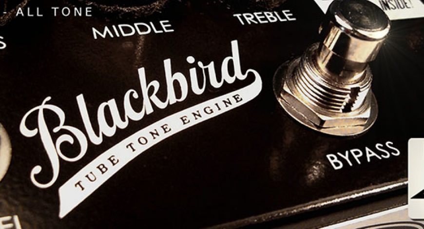 11_blackbird_slider2