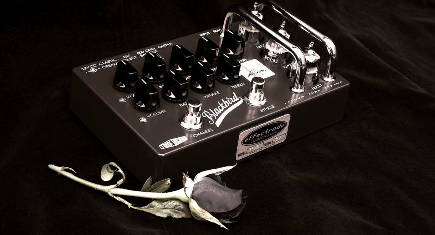 Effectrode Blackbird Guitar Preamp pedal and rose