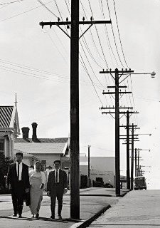 Telegraph wires